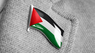 סיכה של דגל פלסטין