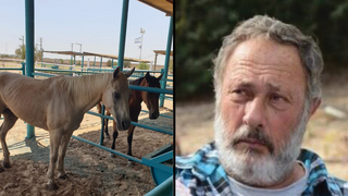 אליהו צ'רצ'יל מרגלית  וחוות הסוסים. האורווה של צ'רצ'יל שנרצח בניר עוז חזרה לפעול