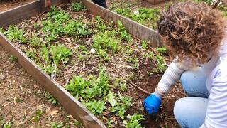 רוח טובה התנדבות השבוע