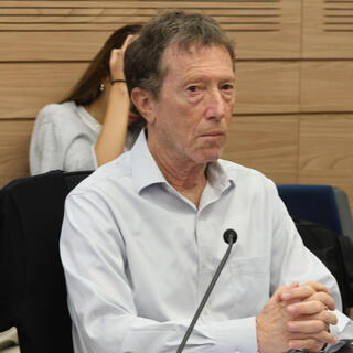 פרופ' אבי שמחון בדיון בוועדה