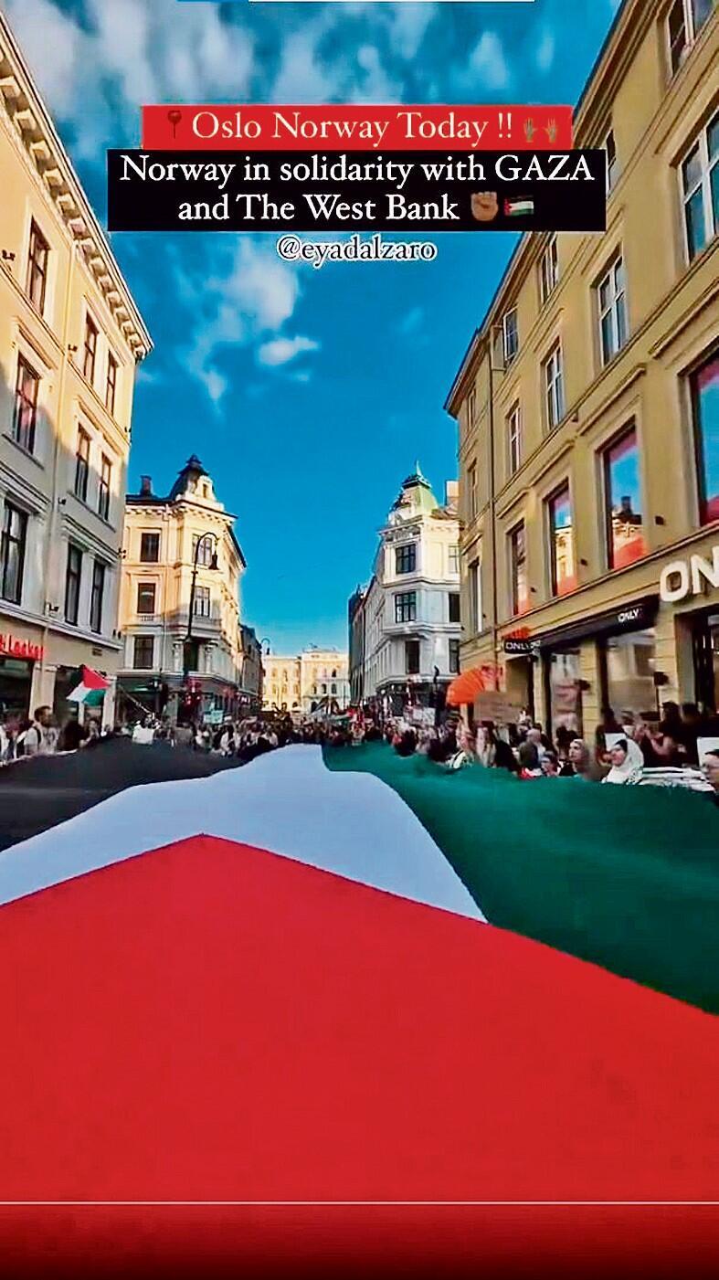 Pro-Palestinian demonstration (Photo: X) הפגנה פרו־פלסטינית