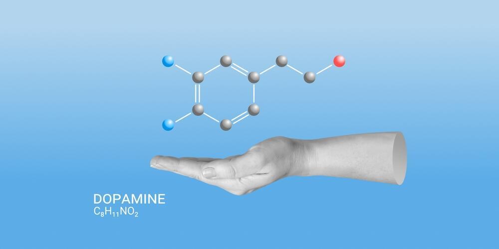 Dopamine (Photo: Shutterstock) דופמין