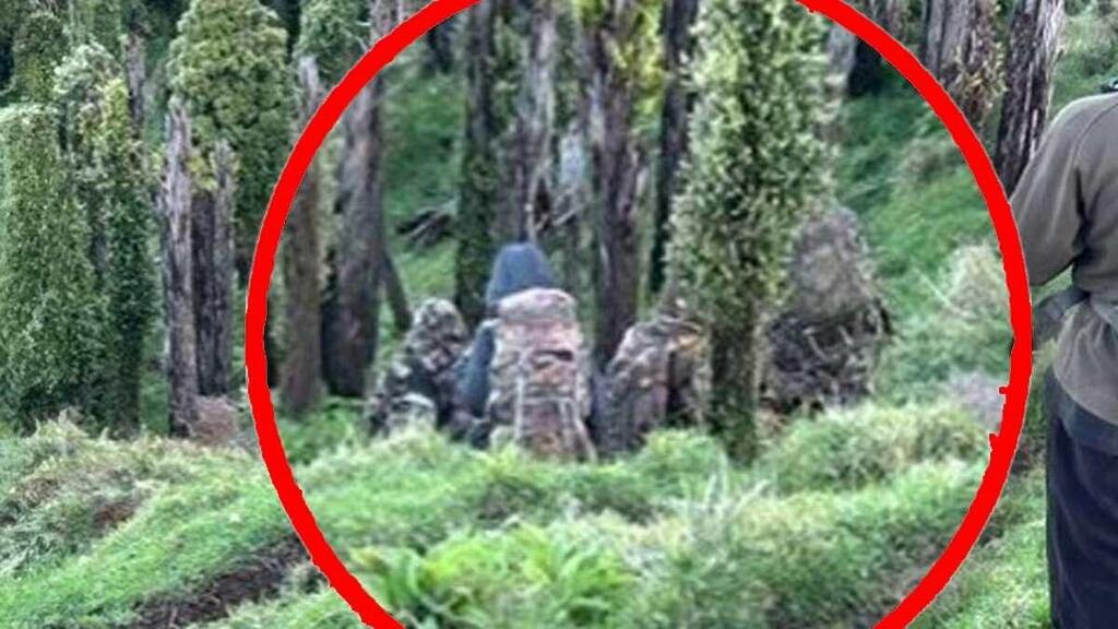 ניו זילנד טום פיליפס אב נמלט 3 ילדים נצפו ביערות