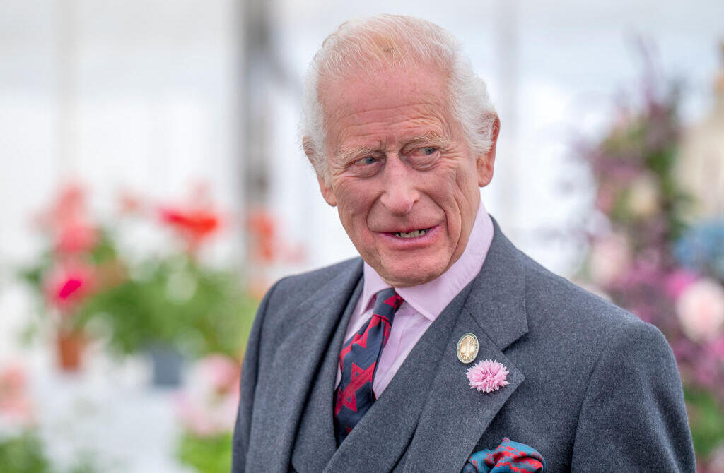 איש של בשורות. המלך צ'רלס (צילום: Jane Barlow - WPA Pool/Getty Images) המלך צ'רלס