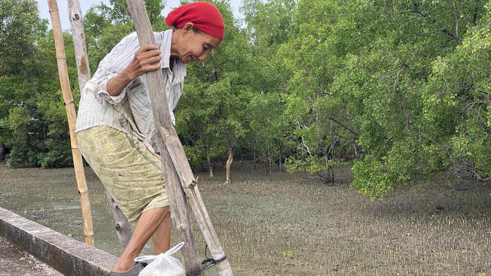 אישה צדה סרטנים מהמזח של כפר הדייגים