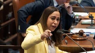 מליאת הכנסת