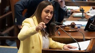 מליאת הכנסת