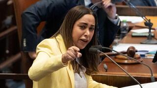 מליאת הכנסת