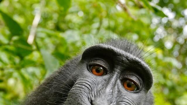 QA - בדיקה של פיק6 - לא לגעת!