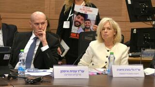 גלי בהרב מיארה בוועדת החוקה של הכנסת