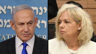 גלי בהרב מיארה בוועדת החוקה של הכנסת