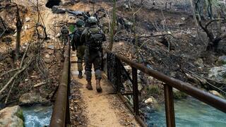 פעילות כוחות צוות הקרב החטיבתי אלכסנדרוני במרחב נהר הליטאני