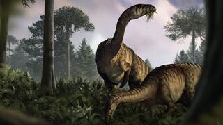 זוג דמויי זאורופודים לועסים את הצמחים החדשים שהתפתחו בסביבה לחה, בתקופת היורה הקדומה