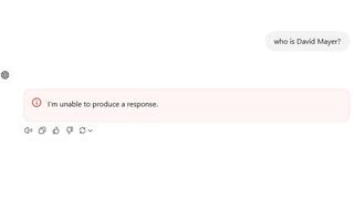 תעלומת דויד מאייר ו-GPT