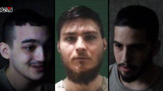 סשה טרופנוב , עידן אלכנסדר , מתן צנגאוקר