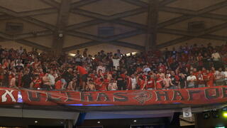 אוהדי הפועל ת"א