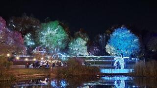 Выставка Winter Dreams в Ботаническом саду Иерусалима 
