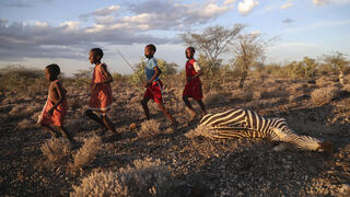 תמותה של בעלי חיים בקניה בגלל שינויי האקלים