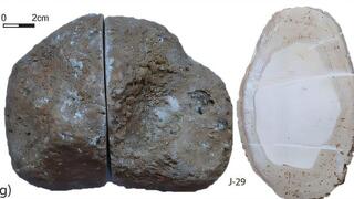 פניני המערות שאותרו בנקבת עין ג'וויזה, ותכולתן שהצביעה על חפצים מעשה ידי אדם