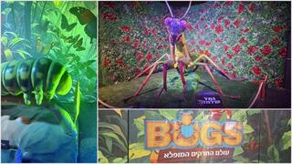 На выставке Bugs 