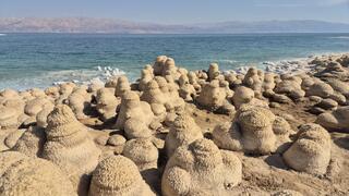 חוף הקרמבואים