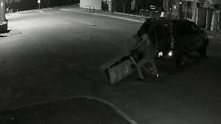 גניבת כספומט במושב צפריה