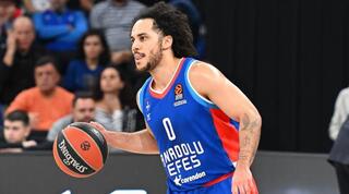 שיין לארקין