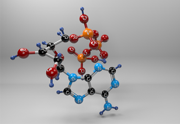 Molecular structure of ATP 