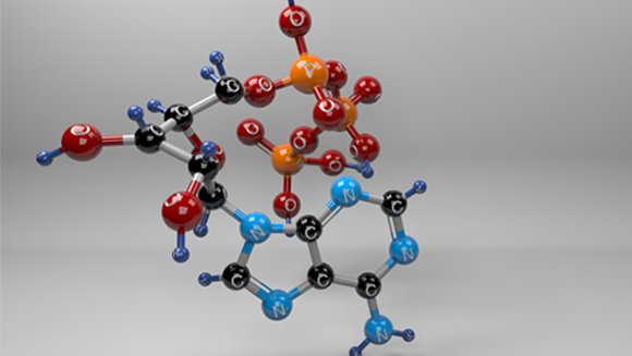 Molecular structure of ATP 