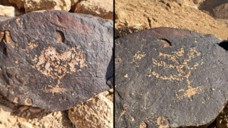 חרותת מנורת שבעת הקנים לפני ההשחתה (מימין), לאחר שהושחתה (משמאל)