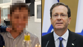 הנשיא הרצוג ונגד א'