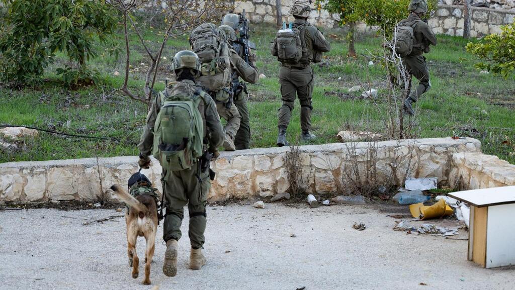 פעילות כוחות חטיבה 769 בדרום לבנון ואיתור אמצעי לחימה על-ידי לוחמי החטיבה