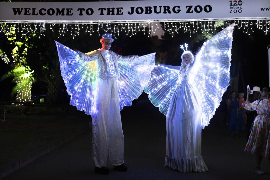 The Christmas Lights Festival at the Johannesburg Zoo, South Africa (Photo: Jerome Delay/AP) פסטיבל אורות חג המולד בגן החיות של יוהנסבורג, דרום אפריקה