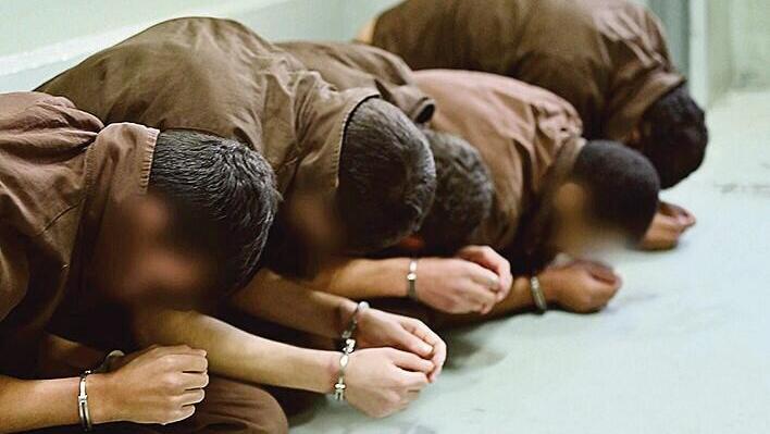 מחבלי נוח'בה במעצר