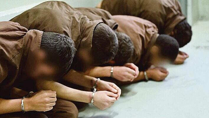 מחבלי נוח'בה במעצר