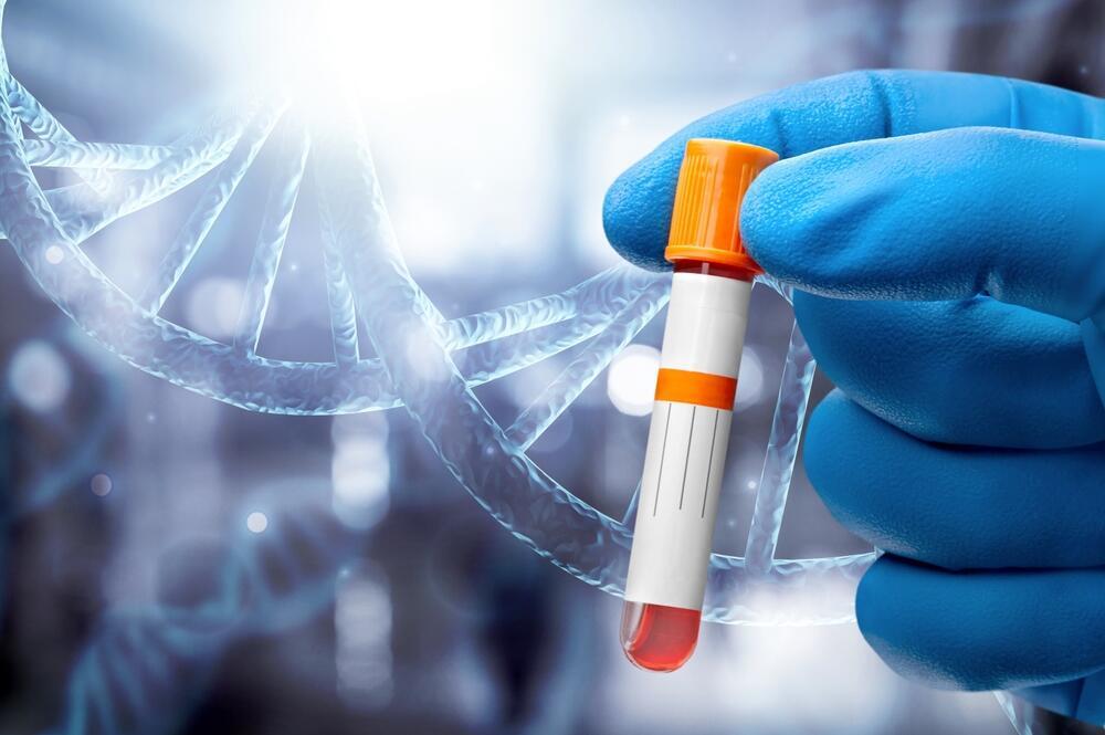 מבחנה, DNA