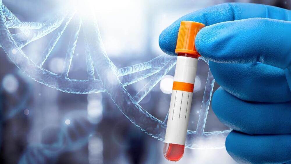 מבחנה, DNA