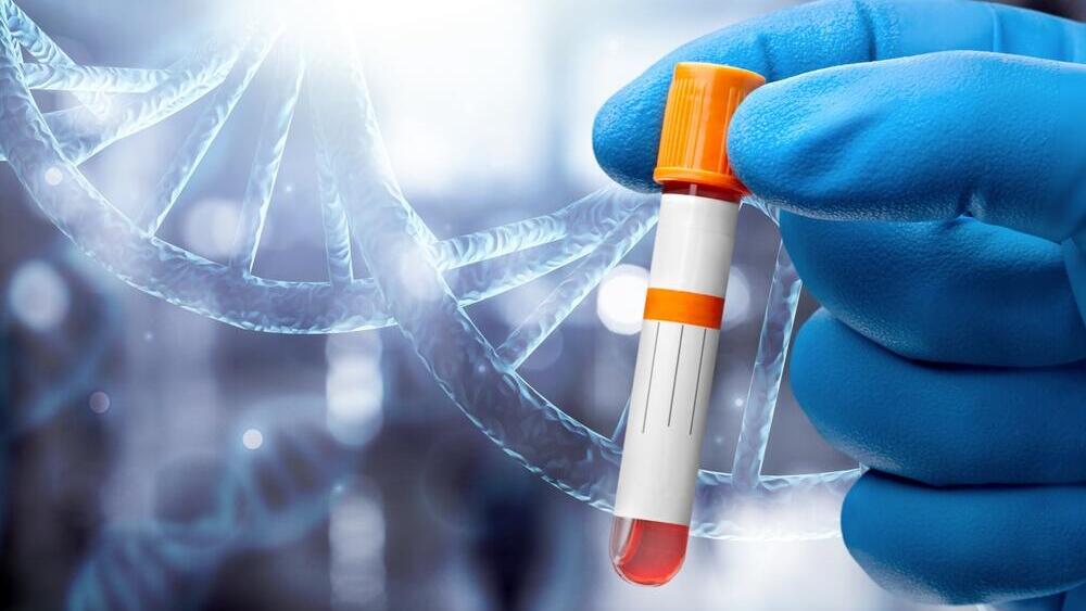 מבחנה, DNA