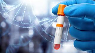 מבחנה, DNA