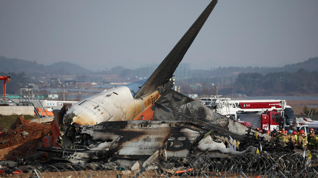 מטוס התרסק בגלל התנגשות ציפור בנחיתה בדרום קוריאה