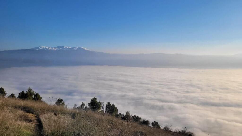 Clouds blanketing Manara in northern Israel (Photo: Suleiman Hamood, Israel Nature and Parks Authority) "גלישת עננים" במנרה