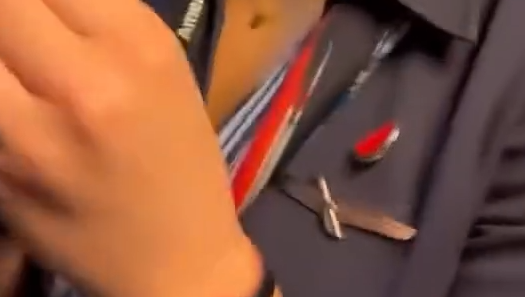 הדיילת עם סיכת האבטיח