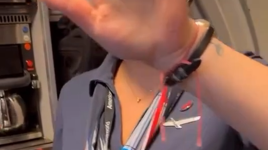 הדיילת עם סיכת האבטיח