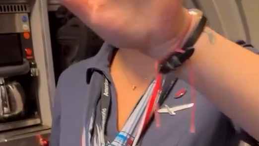 הדיילת עם סיכת האבטיח