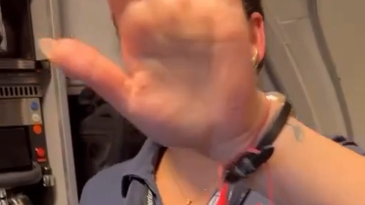הדיילת עם סיכת האבטיח