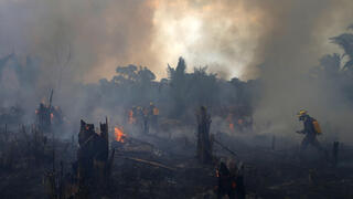 כוחות של לוחמי אש מנסים לכבות שריפה ביער האמזונס שבברזיל