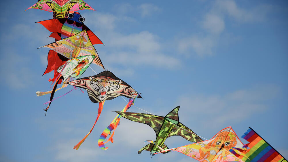  Воздушные змеи 