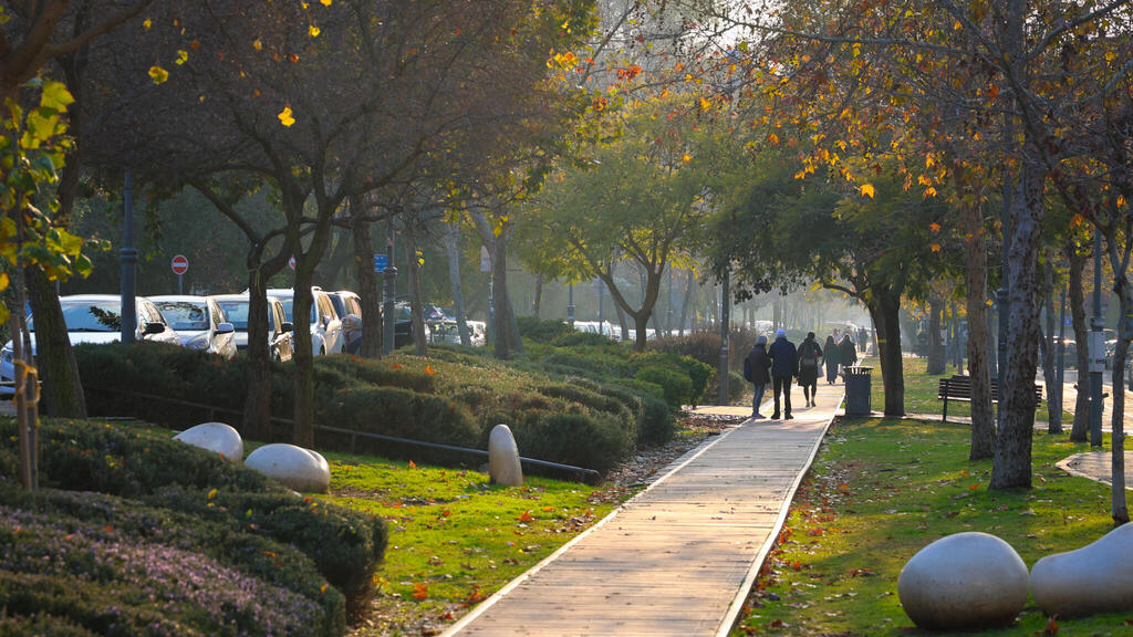 Парк Ха-Месила в Иерусалиме (Фото: Рои Эльман, архив) פארק המסילה, ירושלים