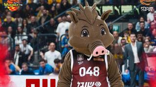 האוהדים התלוננו. חזי חזיר הבר