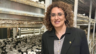 קארין האשם